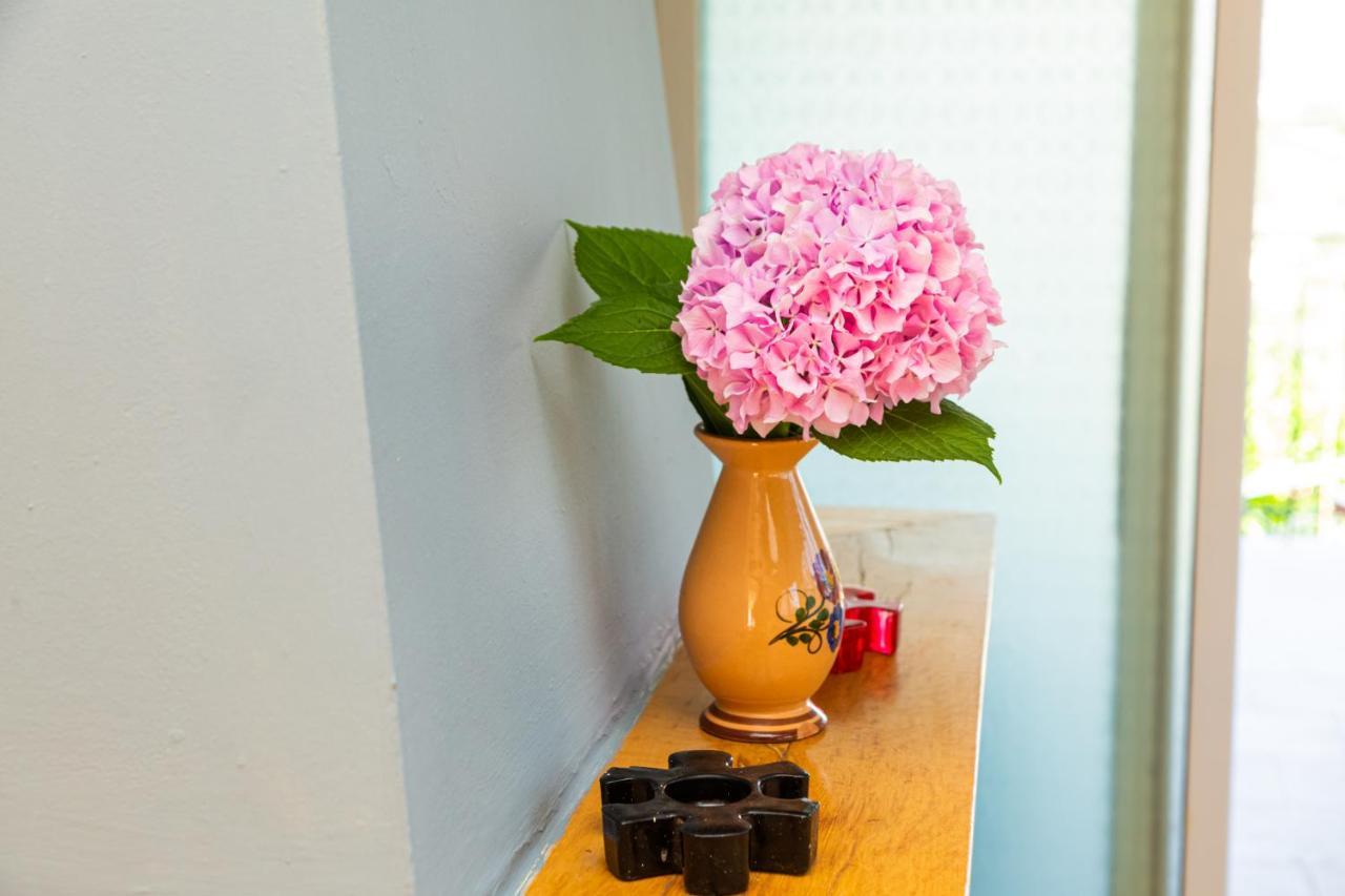 Alonia Apartment 希马拉 外观 照片
